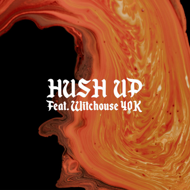 HUSH UP cover