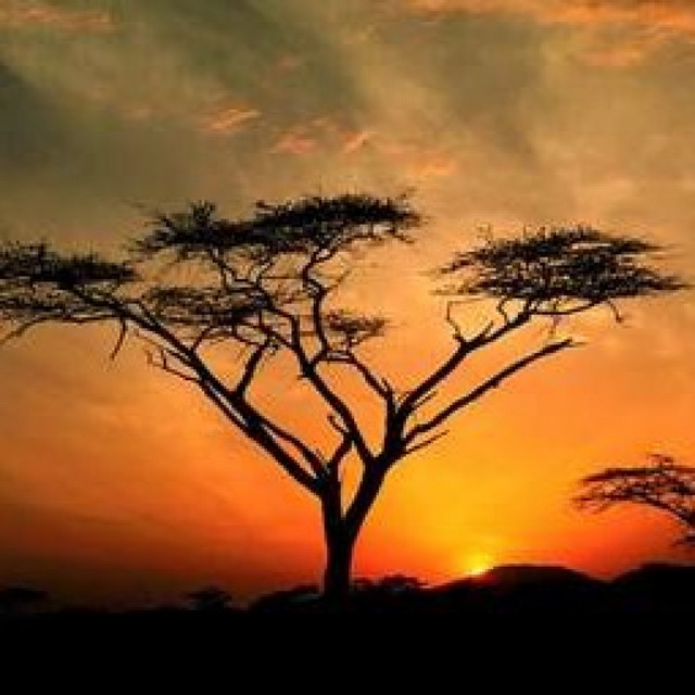 Sun Rise