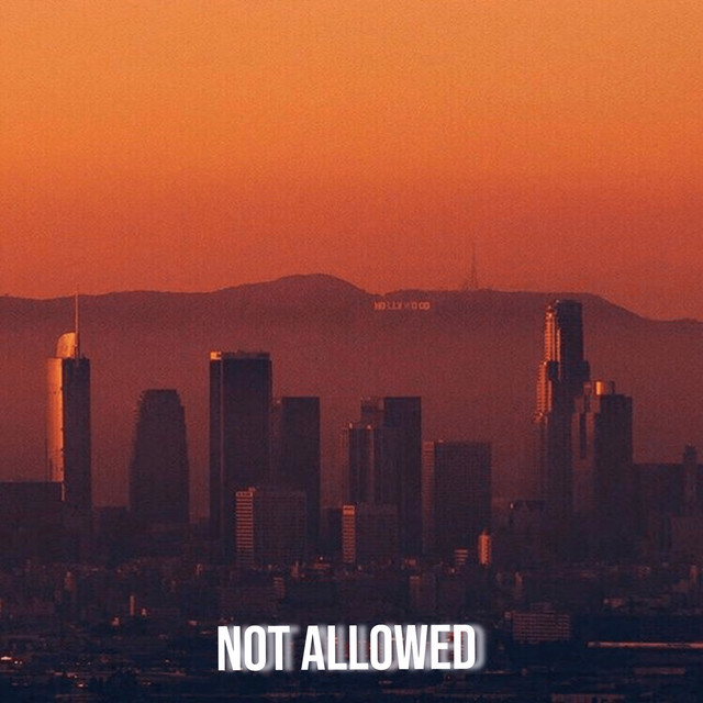 Not Allowed cover art