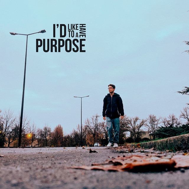 I'd Like to Have a Purpose cover art