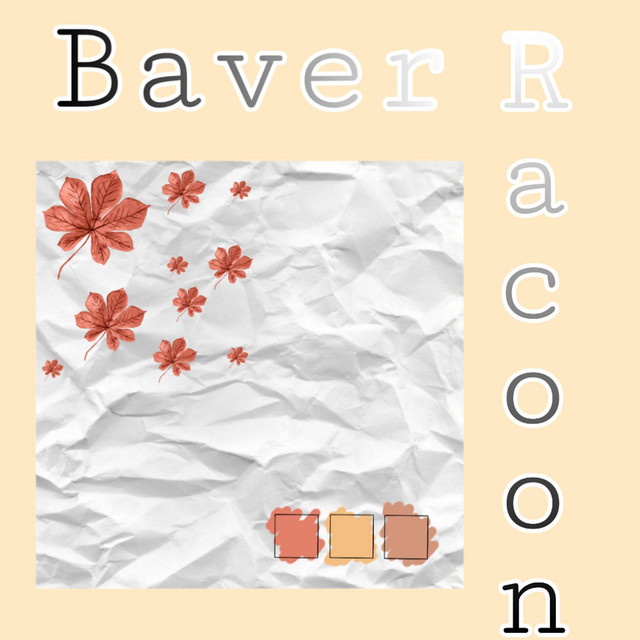 BAVER | Spotify