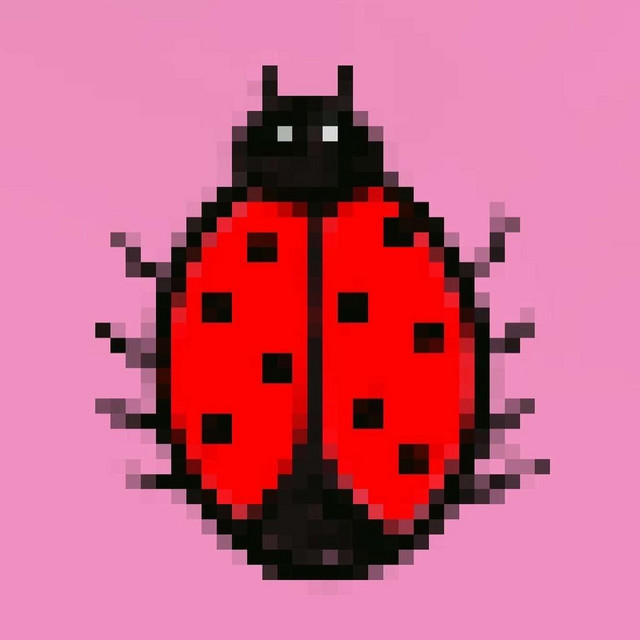 Spigma Spinny
