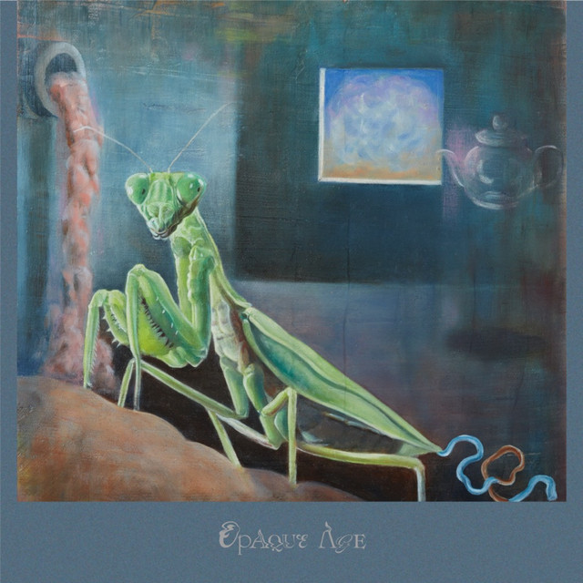 Opaque Age cover art