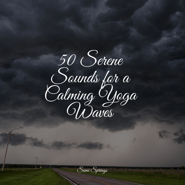 50 Serene Sounds for a Calming Yoga Waves - Album by Ambient Rain | Spotify