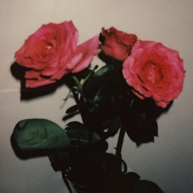rosen cover art