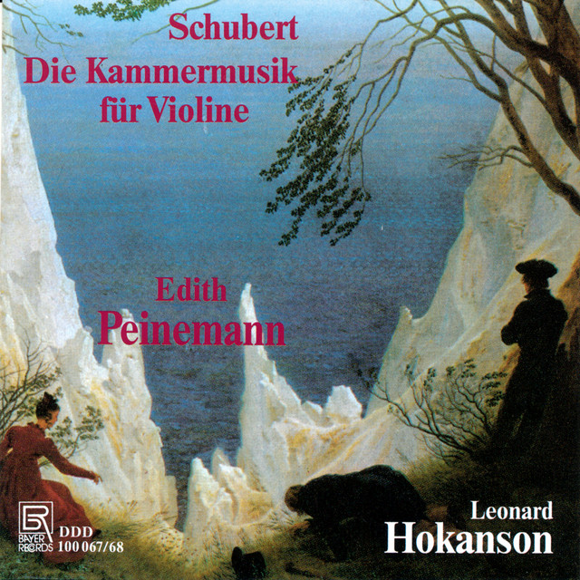 Fantasy in C Major, Op. 159, D. 934: I. Andante molto