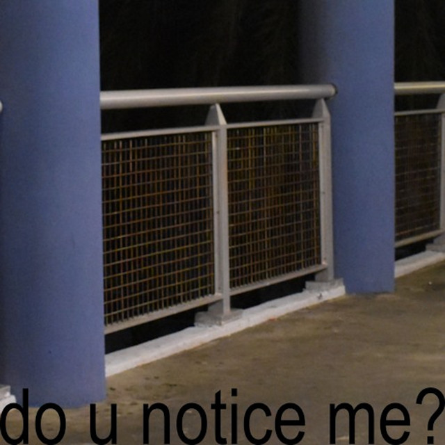 do u notice me? cover art