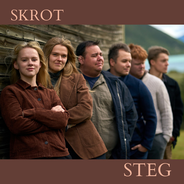 Steg cover art