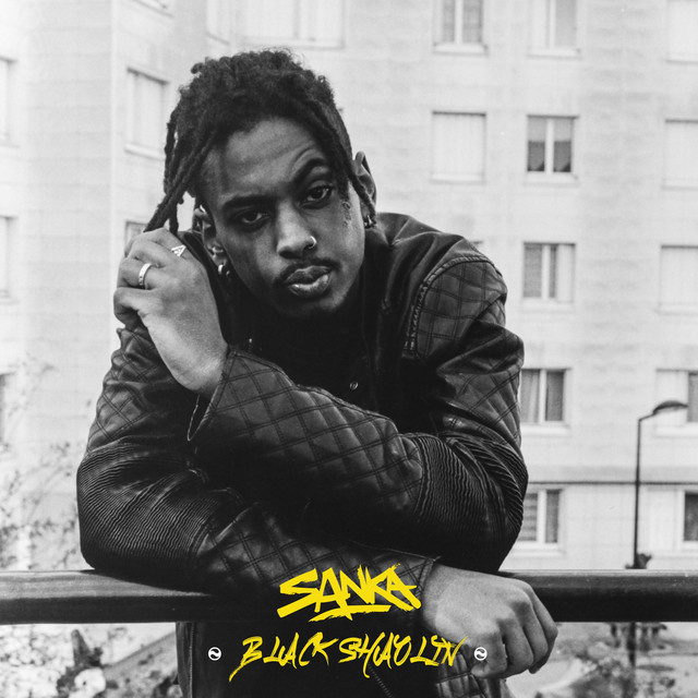 Black Shaolin cover art