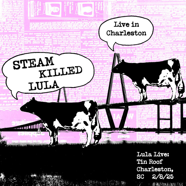 Lula Live: Tin Roof Charleston, SC 2/8/25 cover art