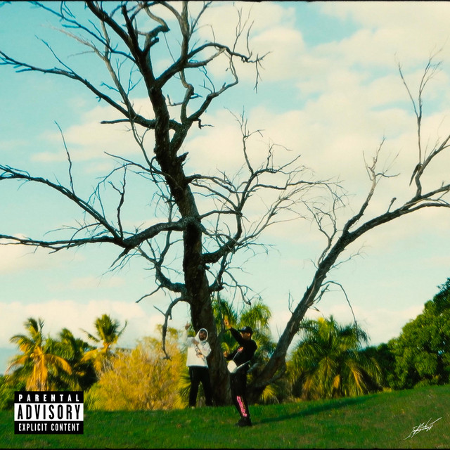 NO NO cover art