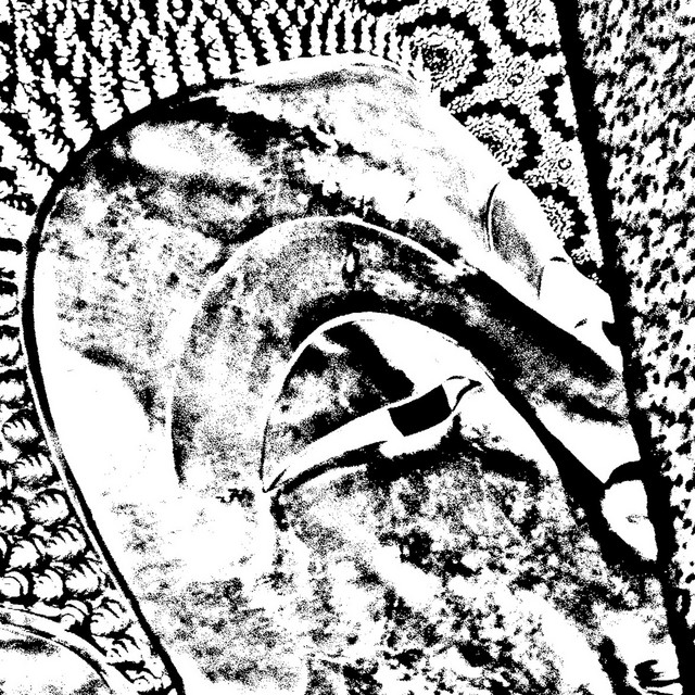 undefined album image