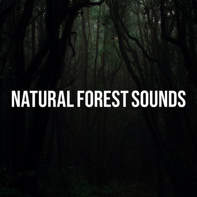 Natural Forest Sounds ! ! ! - Album by Nature Therapy | Spotify