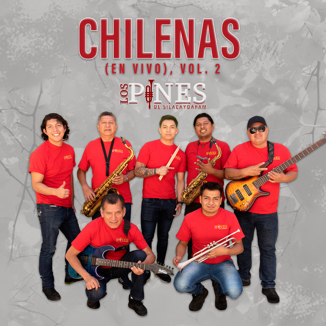 Los Pines De Silacayoápam