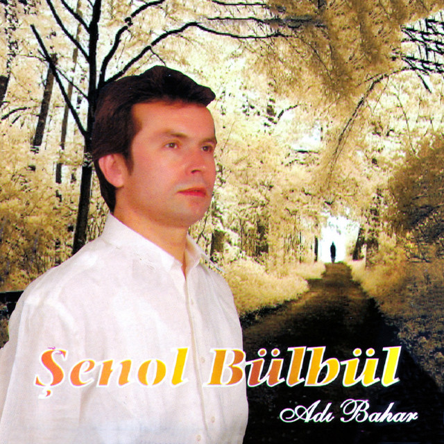 Adı Bahar cover art