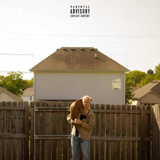maneuvers of the benzo sort cover art