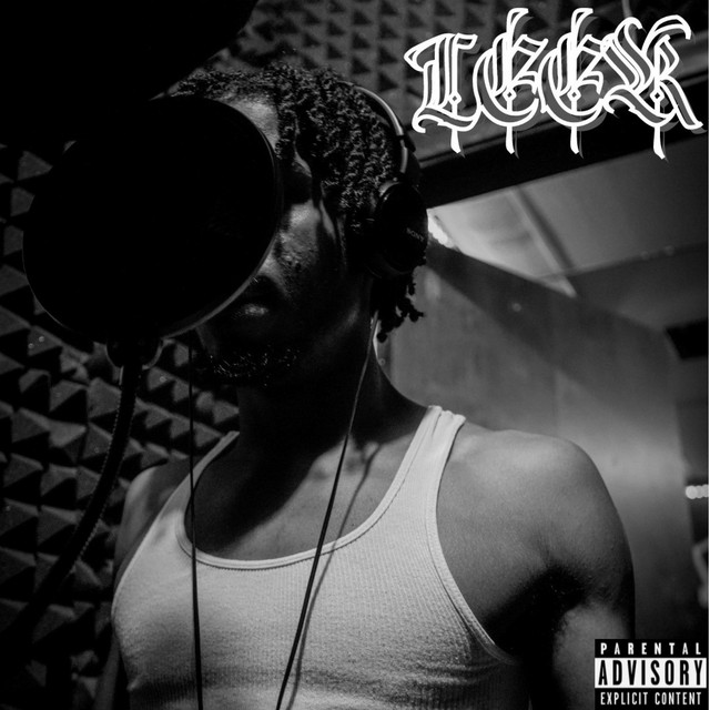 LEEK - Album by Paid Leek | Spotify