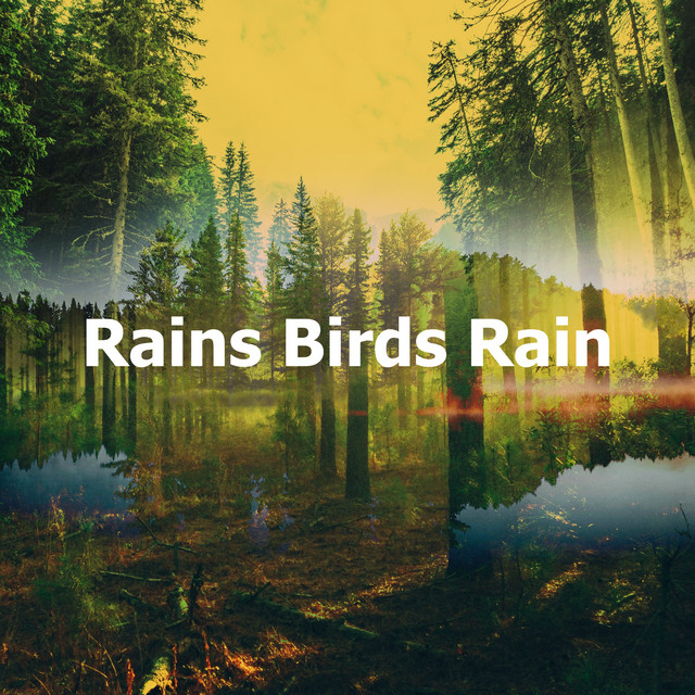 Rains Birds Rain - Album by The Outdoor Library | Spotify