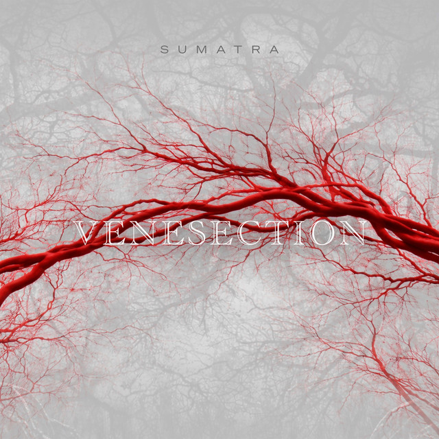 Venesection cover