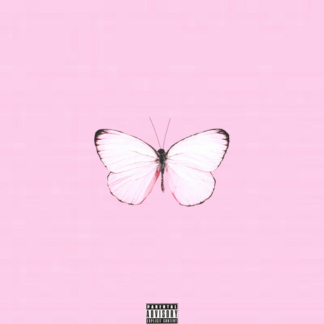 seventeen
