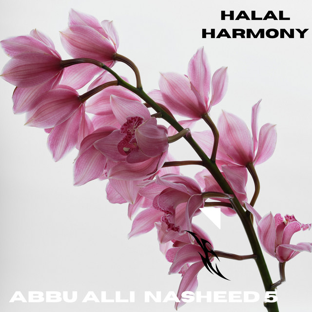 Damdim Alayha Rabbana - song and lyrics by Halal Harmony | Spotify