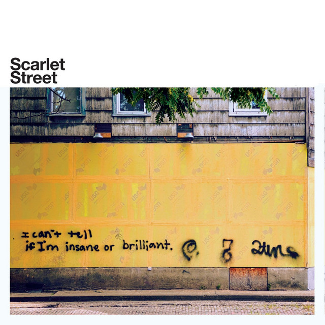 I Can't Tell If I'm Insane Or Brilliant cover art