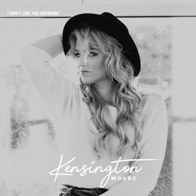 I Don't Like You Anymore cover