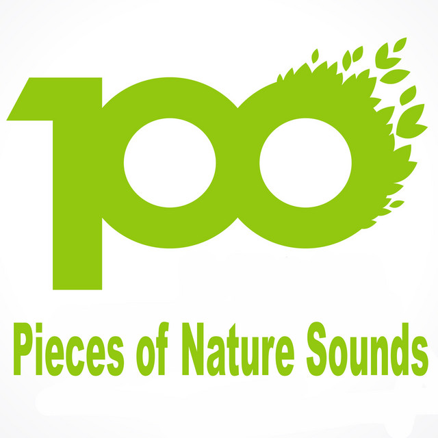 100 Pieces of Nature Sounds cover art