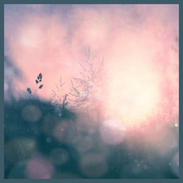 The Still Between