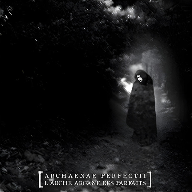 Archaenae Perfectii: L'arche Arcane Des Parfaits cover art