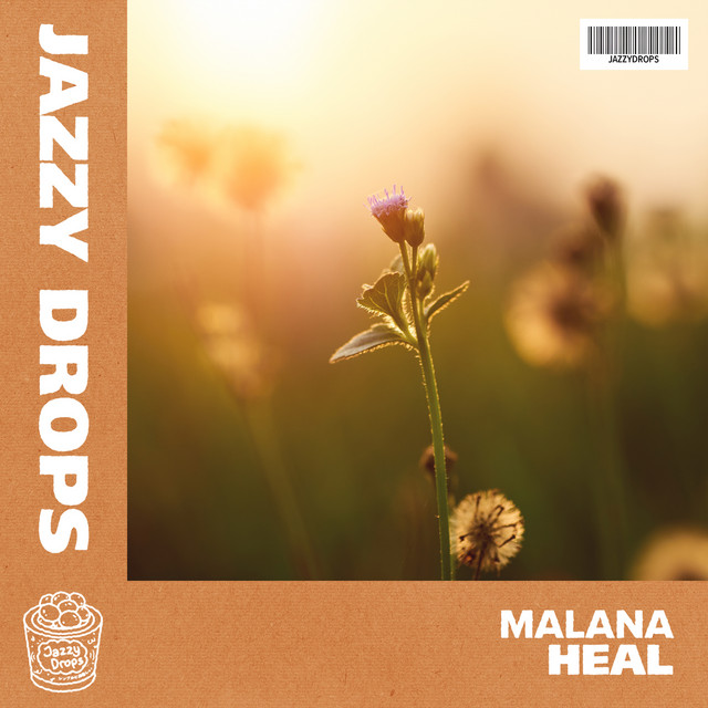 Heal album image