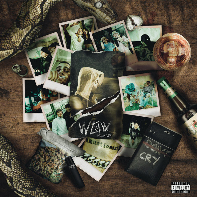 WOW cover art