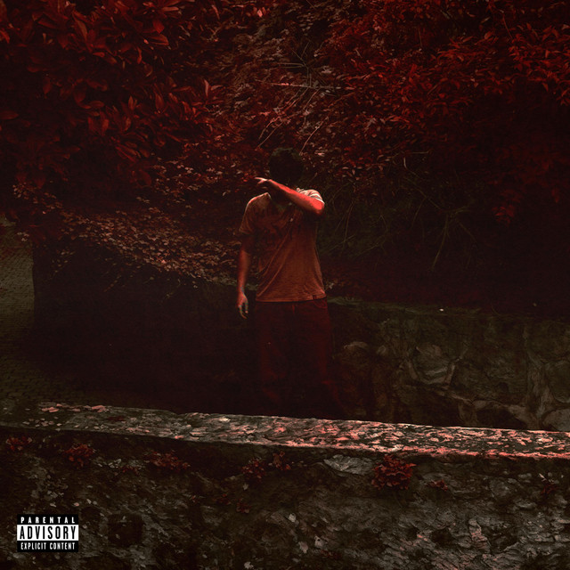 do not fall asleep cover art