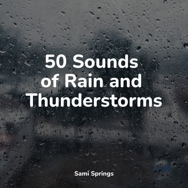 50 Ambient Rain Sounds for Sleep and Serenity - Album by Nature Music ...