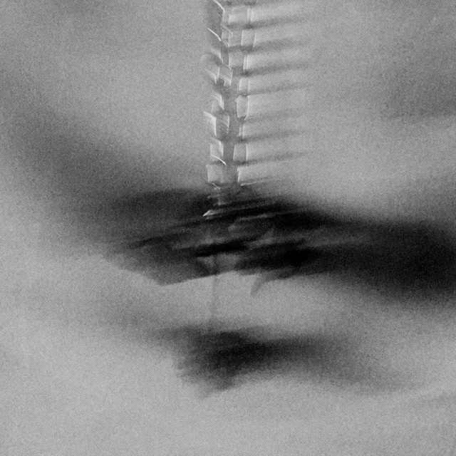 Inflorescence cover art