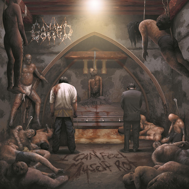 I Can Feel Myself Rot cover art