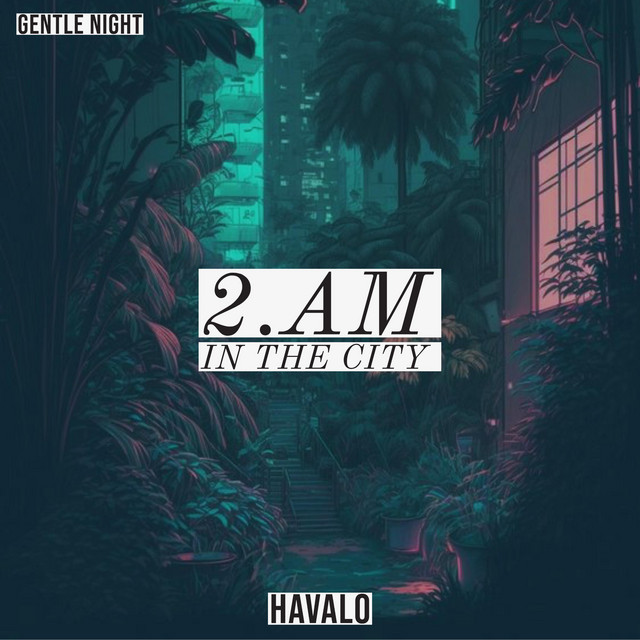 2.AM in the City cover art