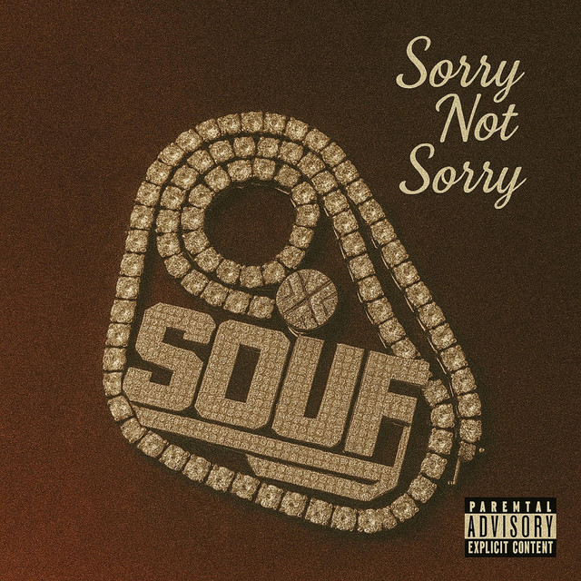 Sorry Not Sorry cover art