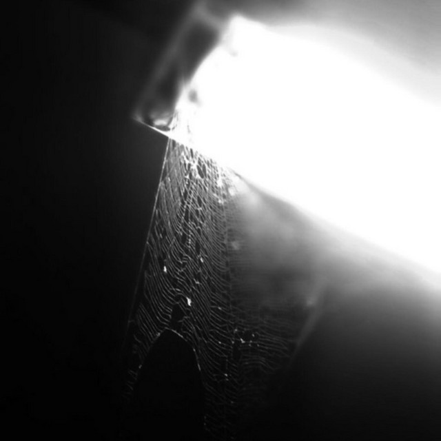 THE BARRIER cover art