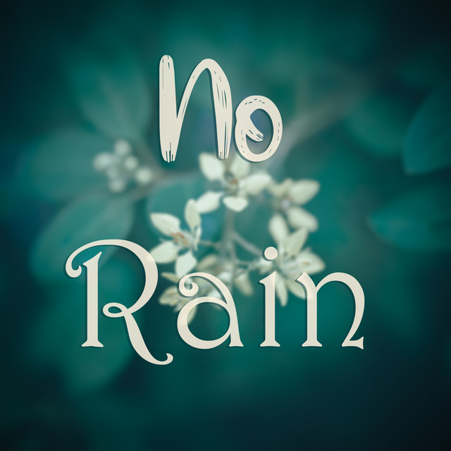 No Rain cover art