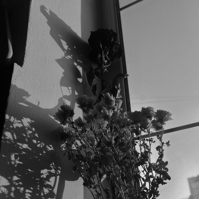 Обкладинка: Ласкаво - Demo — strangertaras