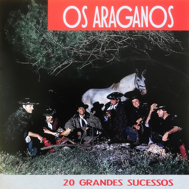 20 Grandes Sucessos cover art