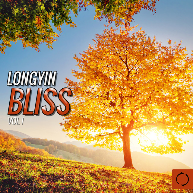 Longyin Bliss, Vol.1 cover art