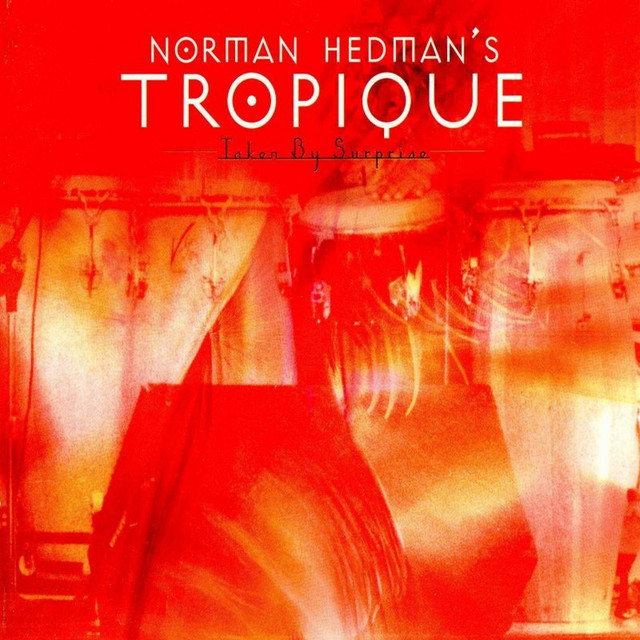 Taken by Surprise — Norman Hedman