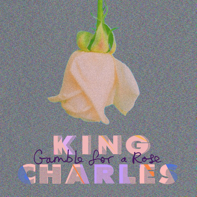 Gamble for a Rose cover