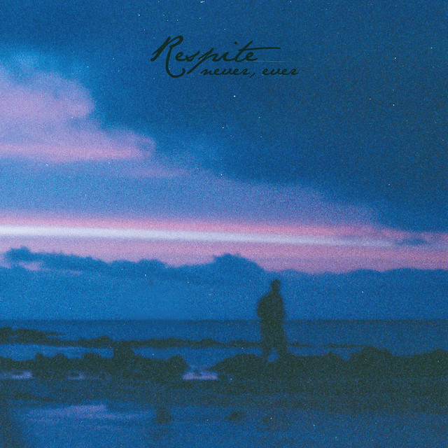 Never, ever cover art