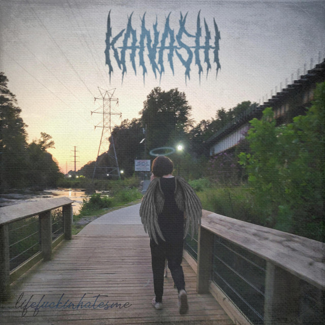 lifefuckinhatesme. cover art