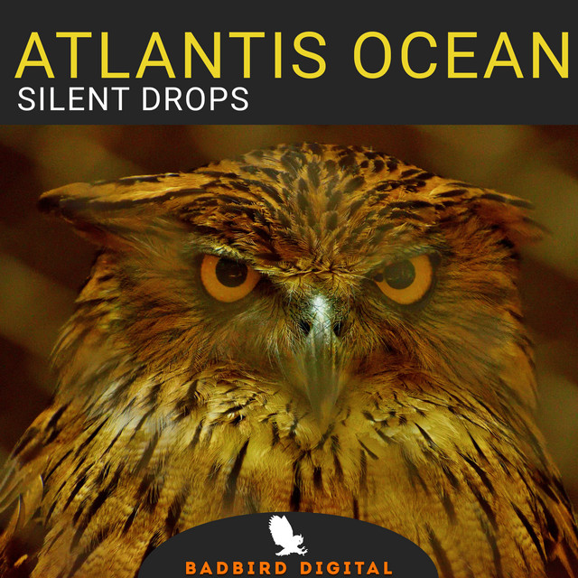 Silent Drops cover art