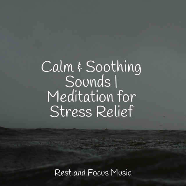 Calm & Soothing Sounds | Meditation for Stress Relief cover art