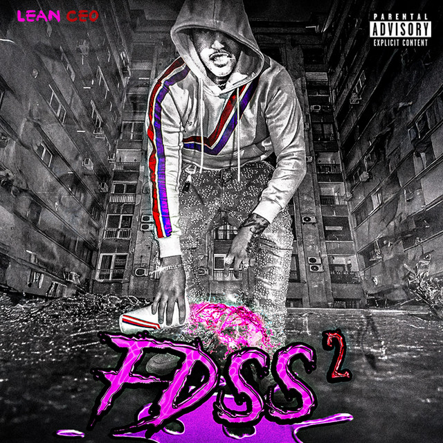 FDSS2 cover art